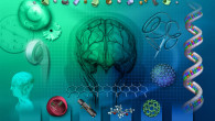 GWC Offers new BioTech Media Design Course The Digital Media Department at Golden West College has announced an exciting new course, Introduction to Biotechnology Media Design (DART G195), to be offered in the upcoming Fall semester. This...