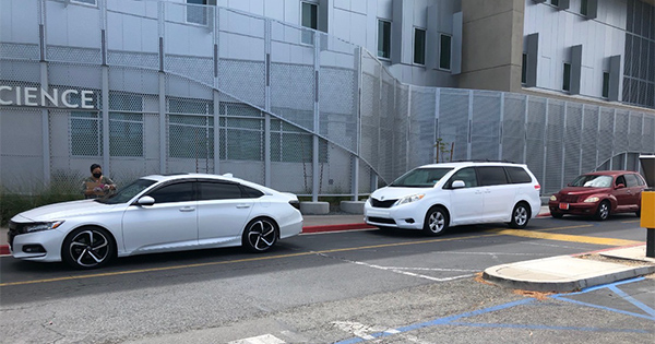 Cars lined up to receive boxes of food at GWC