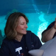 GWC faculty and staff work with the Aquarium of the Pacific to educate kids, nationally and internationally, through broadcasting. The Aquarium of the Pacific received a grant from the Roddenberry […]